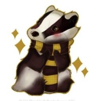 badger498e