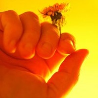 amrealurban