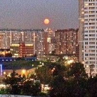 yanaroniks