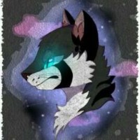 user27411810