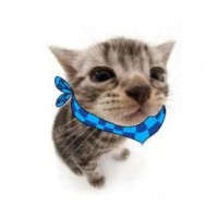 lolofancutieloshka