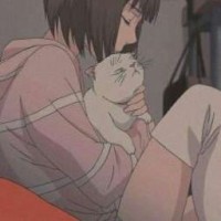 animator-v-mange