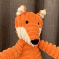 rina-vay