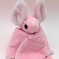 pinkbat5