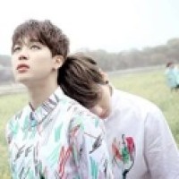 jikook-sans-fin