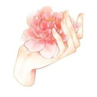 vanishop