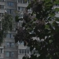 matveeva-mladshay