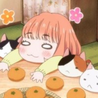mandarinchan347