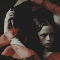 lonely-black-swan