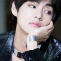 armycatbts
