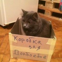 anna-markina28
