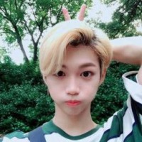 idolbsh