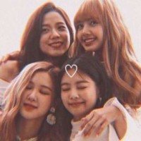 jimin-love-rose