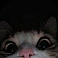 terenoni