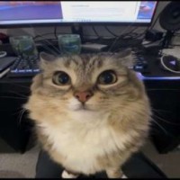 mumekw