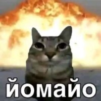 noxair