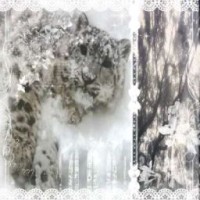 vavava-gut
