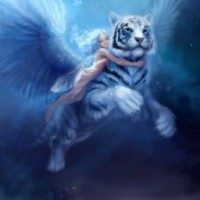 lightcat2003