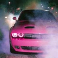 drago-55