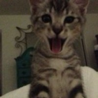 sofixxxkkk