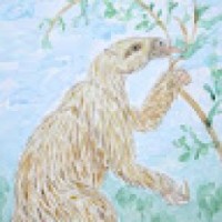 fortismegatherium