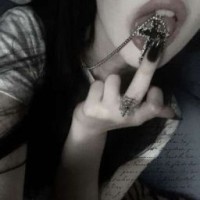 qnqstashqo