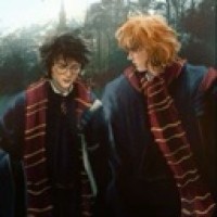 skarrmer-potter