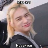 minsongas
