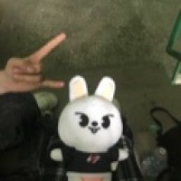 user71981649