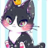 user64287161