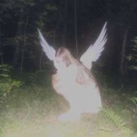 alinxxx-w