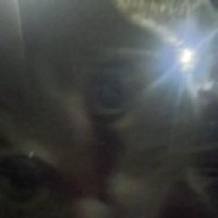 yasmin443083