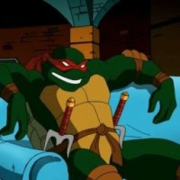 turtlesf