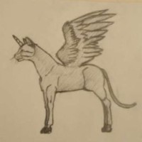 lin-003