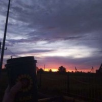 polinastay18