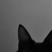 linxrisc