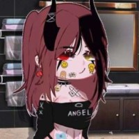 user16291763