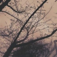 user20618024