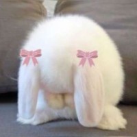 baby-love0cute0