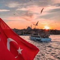 turkishtulip
