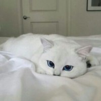 meggysun