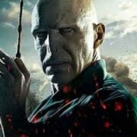 potterman2007