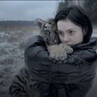 avisneva