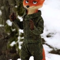 lis-vulpes-vulpes