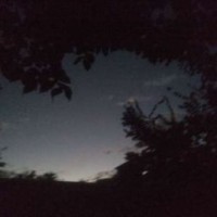 toiph-w