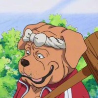 sainiko