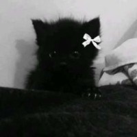 pipi-skaa