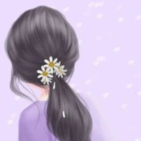 shine-daisy