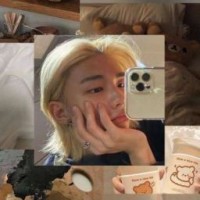 stay-749