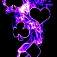 user60501031